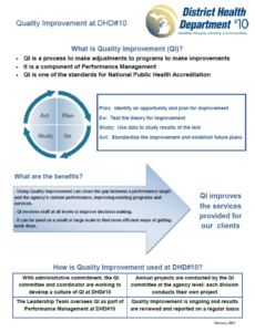 DHD#10 Quality Improvement Document