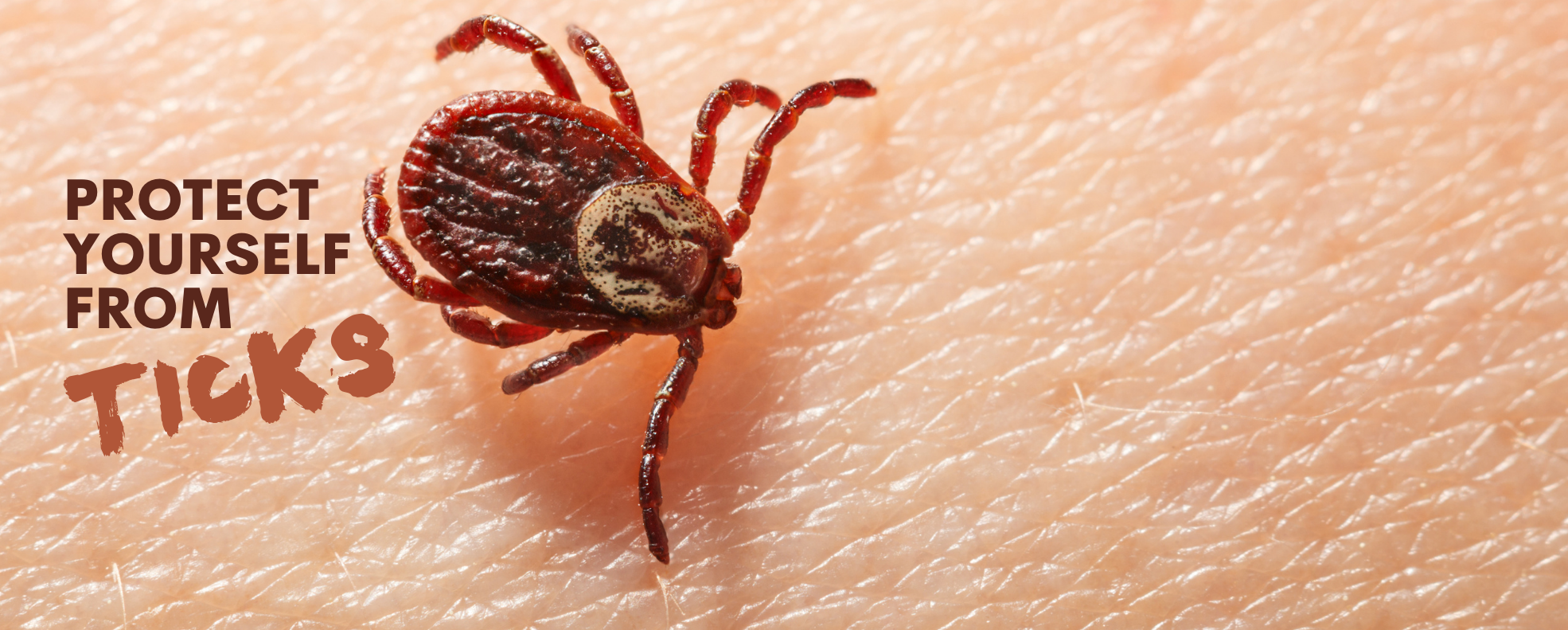 Prevent Tick Bites